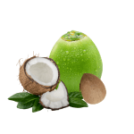 Coconut নারিকেল,Narikel